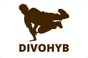 Divohyb – škola divokého pohybu