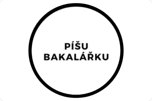 Píšu bakalářku – pomoc s bakalářskými pracemi